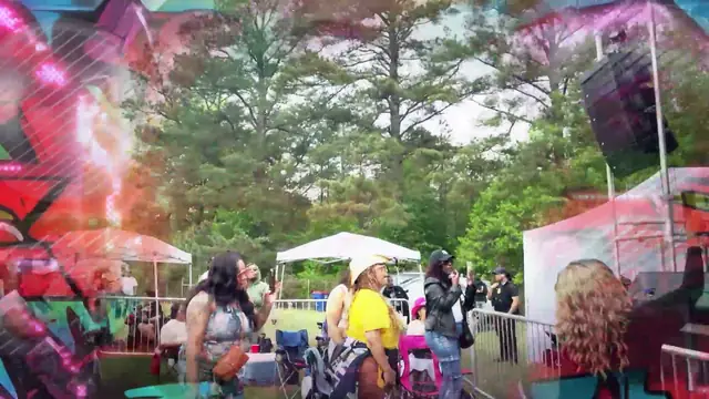 GoGo Festival 2025 — frame 290